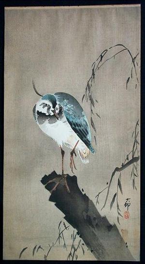 Shoson Ohara: Unknown, bird perched on broken tree - Japanese Art Open Database