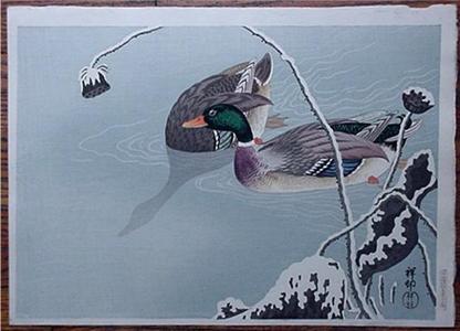 Shoson Ohara (Shoson Ohara (1877-1945)- Koson (小原祥邨、小原古邨))による浮世絵「Unknown, ducks in the winter」