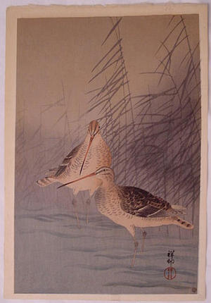 Shoson Ohara: Unknown, sand pipers - Japanese Art Open Database