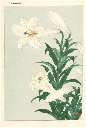 Shoson Ohara: White lilies - Japanese Art Open Database