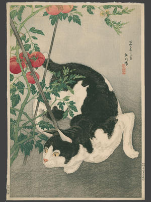 Shotei Takahashi: Black Cat And Tomato Plant - Japanese Art Open Database