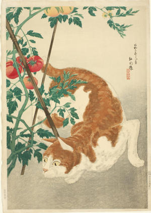 Shotei Takahashi: Brown Cat And Tomato Plant - Japanese Art Open Database