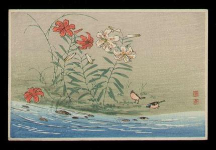 Shotei Takahashi: Lily Blossoms - Japanese Art Open Database