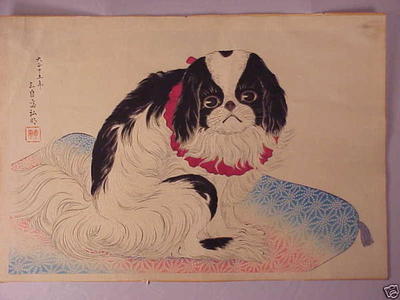 Shotei Takahashi: Pug on a Cushion - Japanese Art Open Database