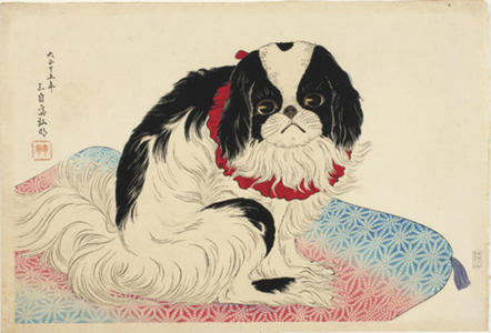 Shotei Takahashi: Pug on a Cushion - Japanese Art Open Database