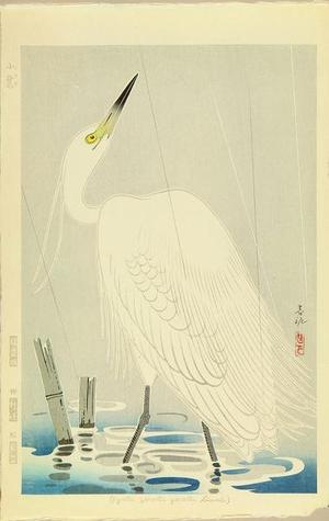 Nakamura Shundei: Little Egret — 小鷺 - Japanese Art Open Database
