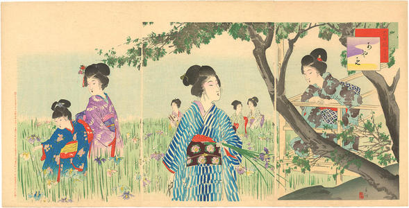 宮川春汀: Iris Garden - Japanese Art Open Database