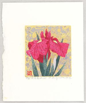 Sugiura Kazutoshi: Iris No 127 — 花菖蒲 No 127 - Japanese Art Open Database