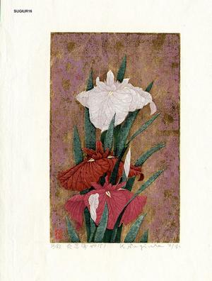 Sugiura Kazutoshi: Iris No 151 — 花菖蒲 No 151 - Japanese Art Open Database