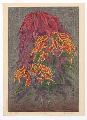 Taisui Inuzuka: Coleus - Japanese Art Open Database