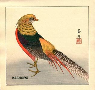 Takahashi Biho: Chinese pheasant - Japanese Art Open Database