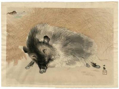 Takeuchi Seiho: Boar - Japanese Art Open Database