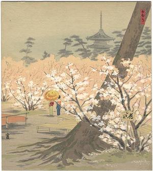 Tokuriki Tomikichiro: Cherry Trees at Omuro — 御室の桜 - Japanese Art Open Database