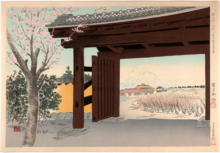 徳力富吉郎: Fuji in front of the Egawa house — Nirayama Egawa-tei zen no Fuji - Japanese Art Open Database