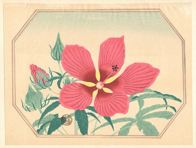 徳力富吉郎: Hibiscus - Japanese Art Open Database