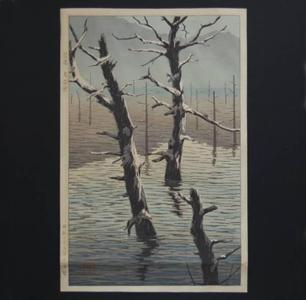 Tomoichi Fujisawa: Lake Taisho at Shinano — 信濃大正池 - Japanese Art Open Database