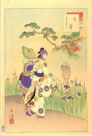 Mizuno Toshikata: Iris Garden — 菖蒲 - Japanese Art Open Database