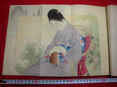 Mizuno Toshikata: Bijin and Book - Japanese Art Open Database