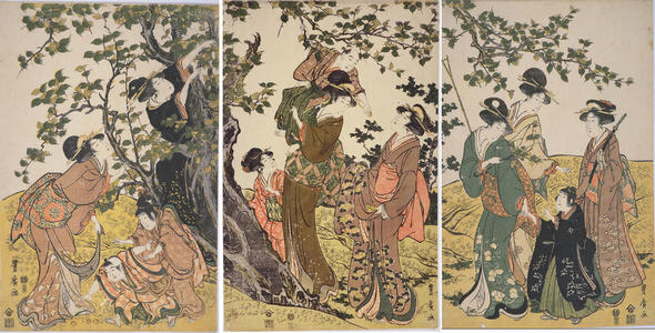 Utagawa Toyohiro: Picking Plum - Japanese Art Open Database