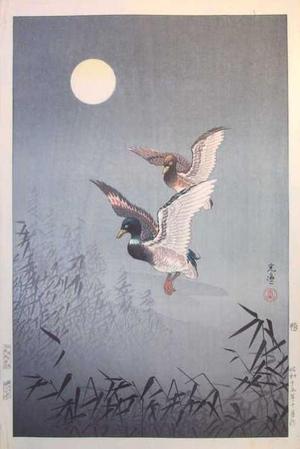 風光礼讃: Ducks — 鴨 - Japanese Art Open Database