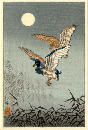 Tsuchiya Koitsu: Ducks - Japanese Art Open Database