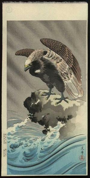 Tsuchiya Koitsu: Eagle - Japanese Art Open Database