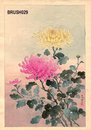 Tsuchiya Koitsu: Floral, Chrystanthemums - Japanese Art Open Database