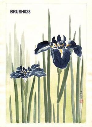 Tsuchiya Koitsu: Floral, Irises - Japanese Art Open Database