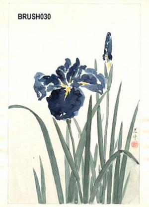 Tsuchiya Koitsu: Floral, Irises - Japanese Art Open Database