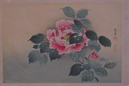 Tsuchiya Koitsu: Floral print- Flower - Japanese Art Open Database