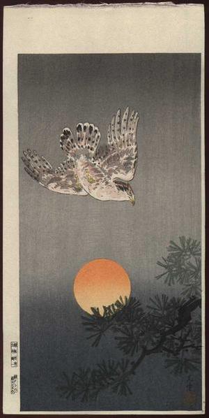 Tsuchiya Koitsu: Goshawk - Japanese Art Open Database