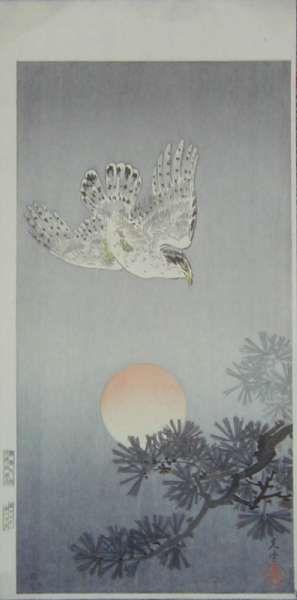 Tsuchiya Koitsu: Goshawk - Japanese Art Open Database