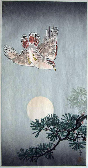 Tsuchiya Koitsu: Goshawk - Japanese Art Open Database