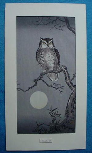 Tsuchiya Koitsu: Owl - Japanese Art Open Database
