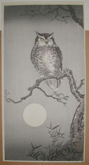 Tsuchiya Koitsu: Owl - Japanese Art Open Database