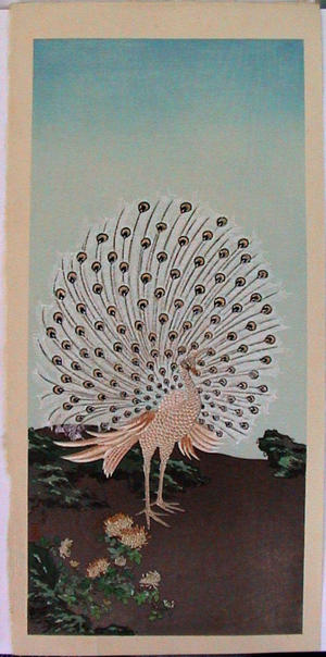 Tsuchiya Koitsu: Peacock - birds - Japanese Art Open Database