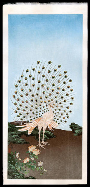 Tsuchiya Koitsu: Peacock - birds - Japanese Art Open Database