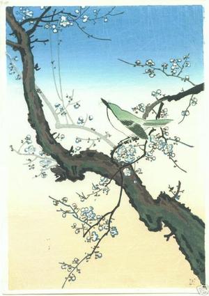 Tsuchiya Koitsu: Plum Nightingale- Koban - Japanese Art Open Database