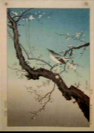 風光礼讃: Plum Nightingale- Oban - Japanese Art Open Database