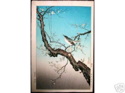 風光礼讃: Plum Nightingale- Oban - Japanese Art Open Database