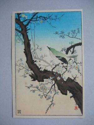 風光礼讃: Plum Nightingale - Japanese Art Open Database