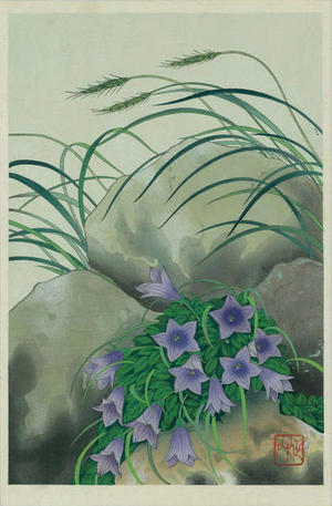 Unknown: Bell Flowers - Japanese Art Open Database