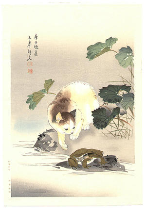 無款: Cat and frog - Japanese Art Open Database