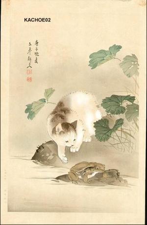 無款: Cat and frog toad - Japanese Art Open Database