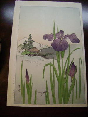 Unknown: Iris and Mt Fuji - Japanese Art Open Database