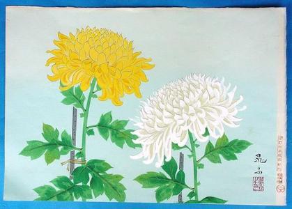 無款: Two chrysanthemums - Japanese Art Open Database