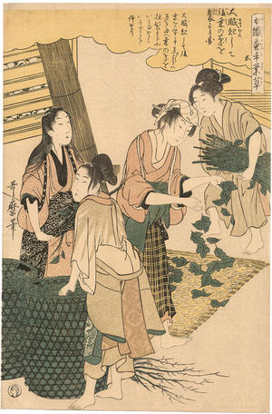 Kitagawa Utamaro: Women spreading mulberry leaves on the silkworms - Japanese Art Open Database