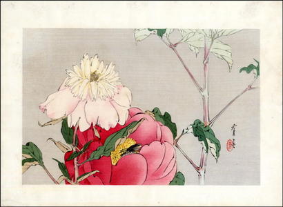 Watanabe Seitei: Peony and Bee - Japanese Art Open Database