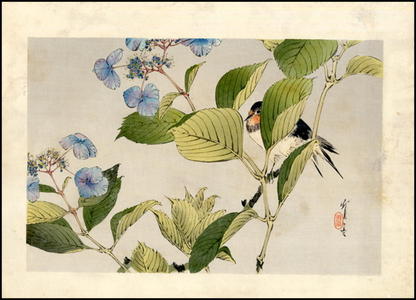 Watanabe Seitei: Songbird on Flower - Japanese Art Open Database
