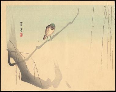 Watanabe Seitei: Bird on willow branch - Japanese Art Open Database